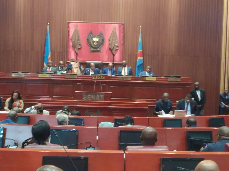 Vue d'une séance plénière au sénat RD Congolais