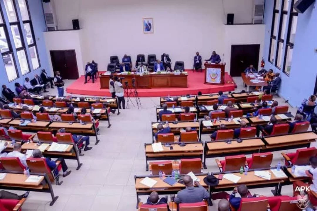 Vue d'une plénière de l'Assemblée provinciale de Kinshasa