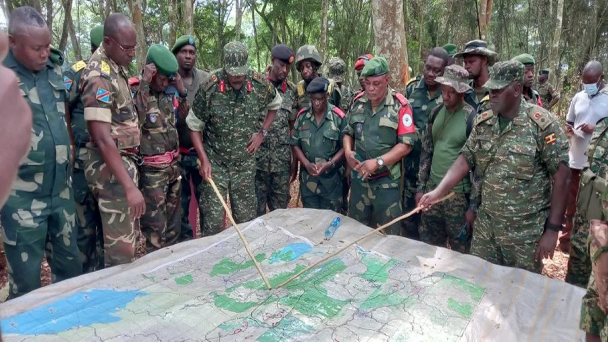 Photo des armées congolaise et ougandaise en région de Beni (Nord-Kivu) en opération conjointe contre les ADF