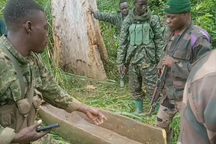 Quelques éléments de la coalition FARDC-UPDF en pleine opérations pour la neutralisation des ADF